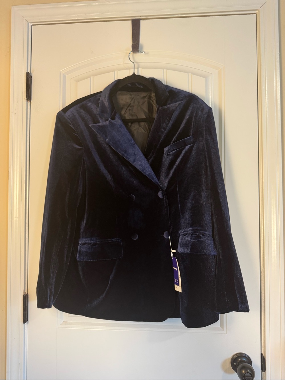 Botong Navy Blue Double Breasted Velvet Blazer NWT